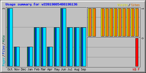 Usage summary for v22019085488196136